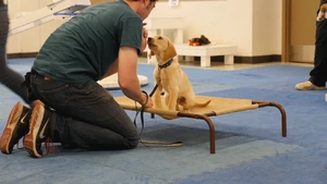 Acredite,  é Verdade! S1E04