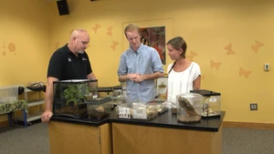 Acredite,  é Verdade! S1E09