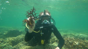 Acredite,  é Verdade! S2E07