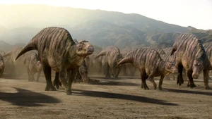 A Vida no Nosso Planeta S1E05