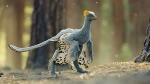 A Vida no Nosso Planeta S1E06