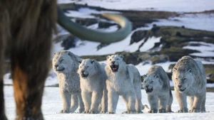 A Vida no Nosso Planeta S1E08