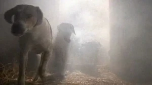 O Clube do Terror S1E05