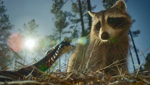 Pesadelos da Natureza S1E01