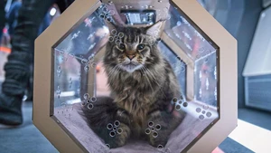 Star Trek: Discovery S4E06