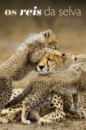 Os Reis da Selva