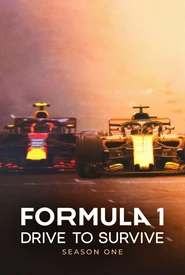F1: Dirigir para Viver